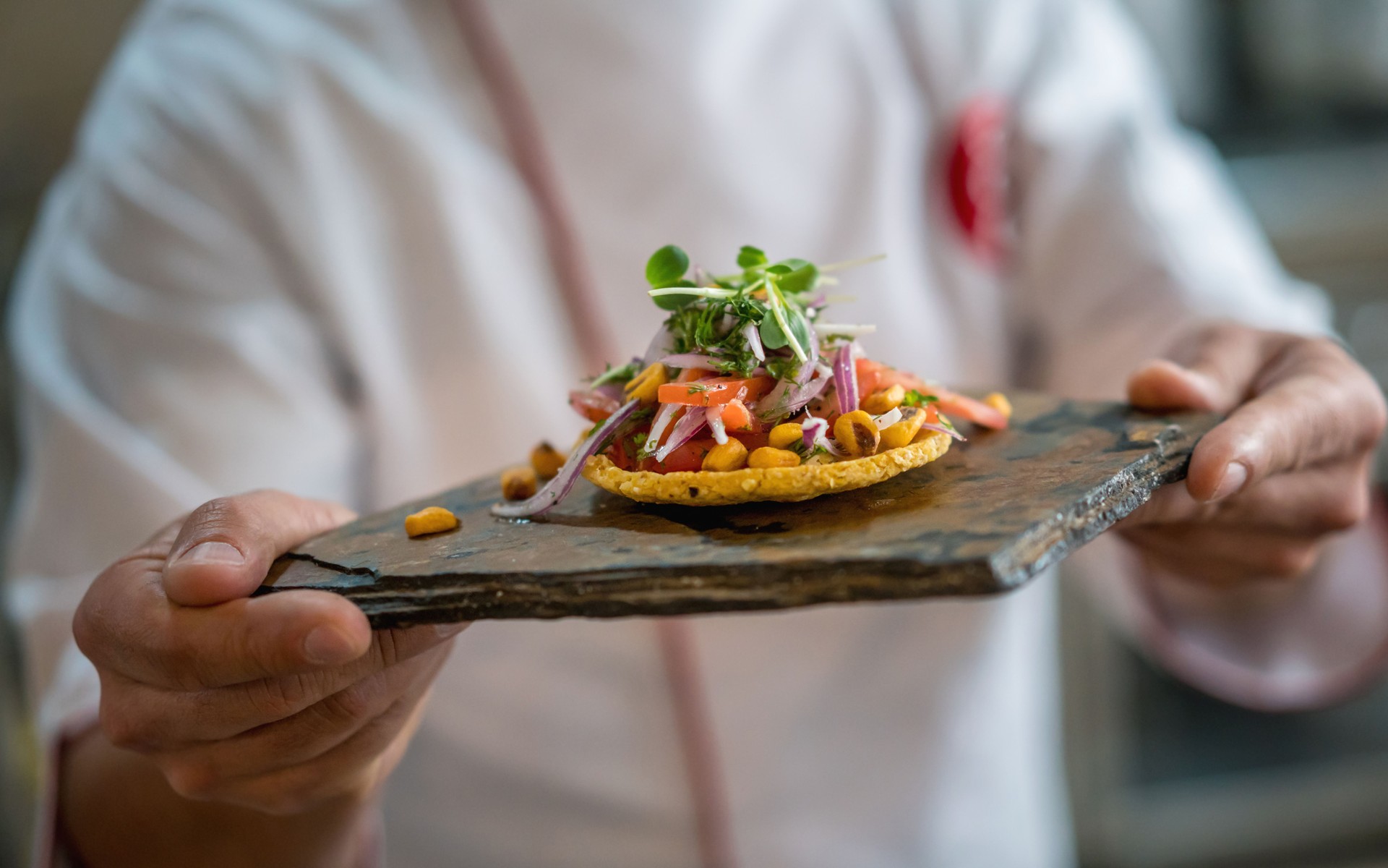 Close-up on a chef serving a plate at a restaurant